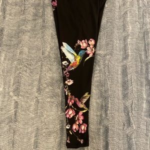 Evolution and Creation Hummingbird Leggings